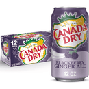 Canada Dry Ginger Ale Blackberry 355ml
