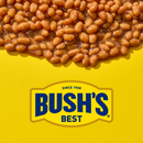 Bush's Best Baked Beans with Boston Recipe Rich Molasses, Brown Sugar 794g